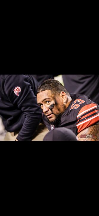 Alani Havili