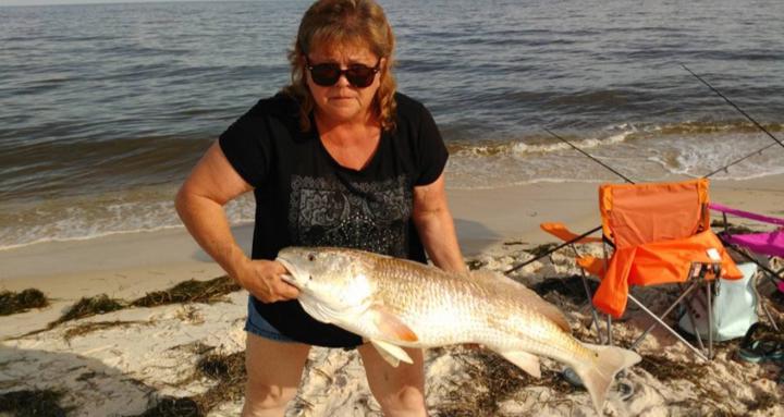 Saltwater Shore Fishing Pro