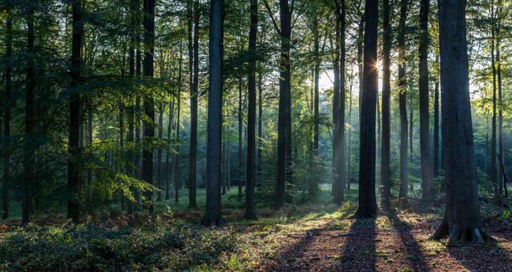 Women Wild Community