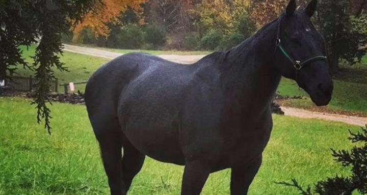 DV and (Divorce) Support group