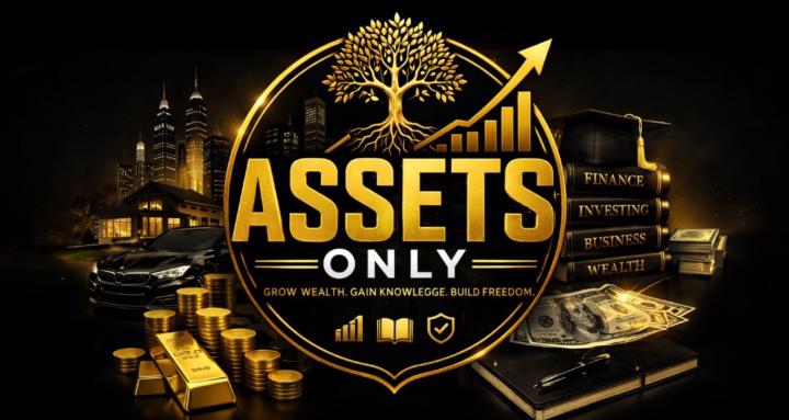 ASSETS ONLY