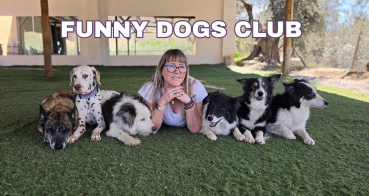 FUNNY DOGS CLUB 🐶💜