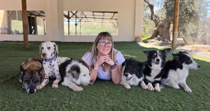 FUNNY DOGS CLUB 🐶💜