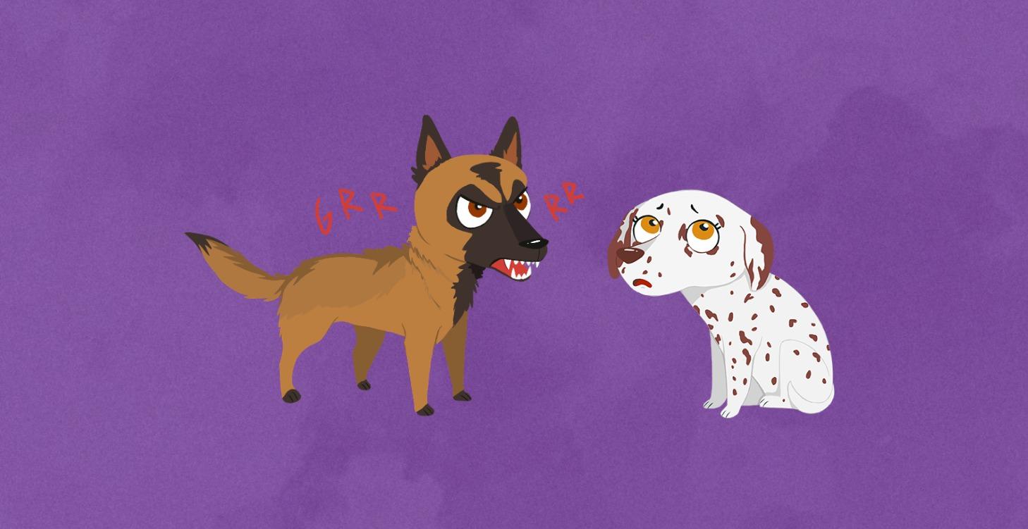 Habla el idioma de tu Perro - N2