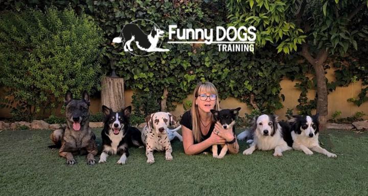 FUNNY DOGS 🐶💜