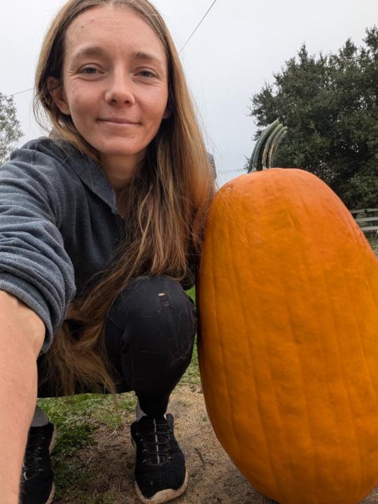 Delicious Antique Pumpkin Bread Recipe