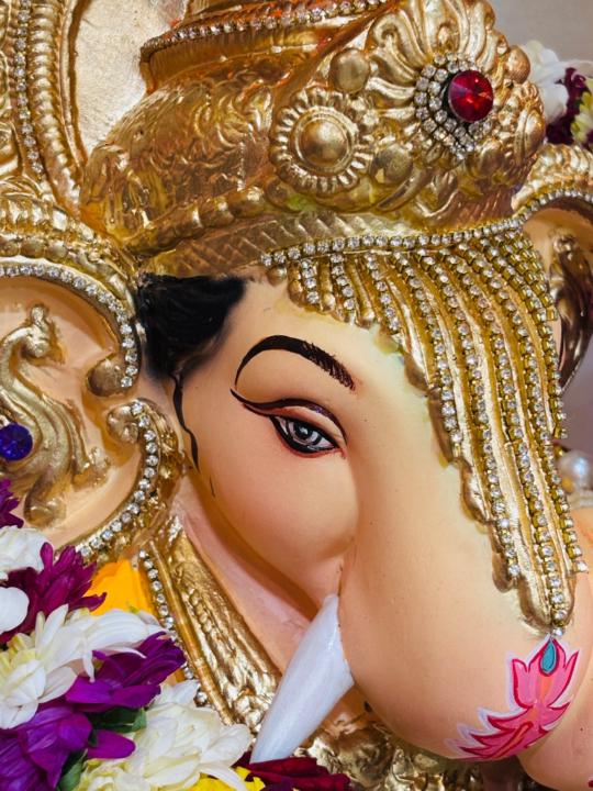 Siddhant Dashamwar