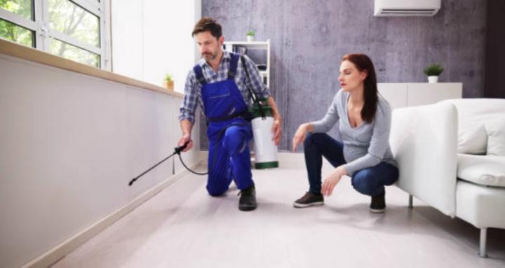 Local Pest Control Services