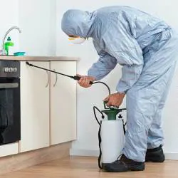 Termite Treatment Lincoln Park, NJ | Call (888) 584-8783