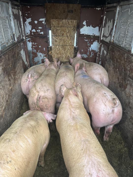 Are you a slave to your business? 