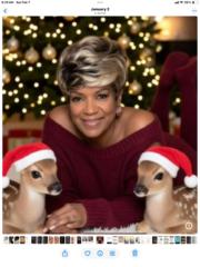 Diana Figueroa-Lockett