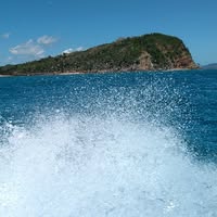 Vicky Seegoolam Camalon