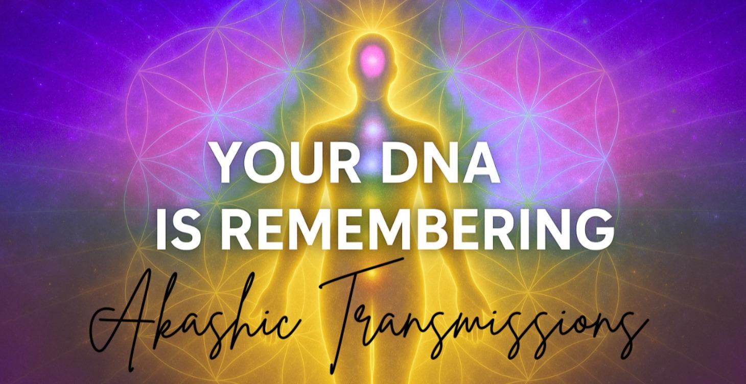 Akashic Transmissions / Live Sessions
