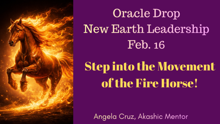 Oracle Drop - February 16, 2026