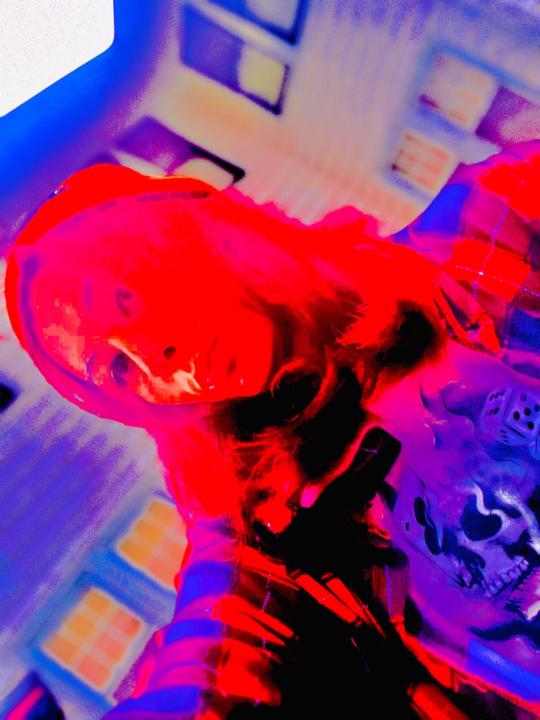 Lucia Rodriguez Perkins