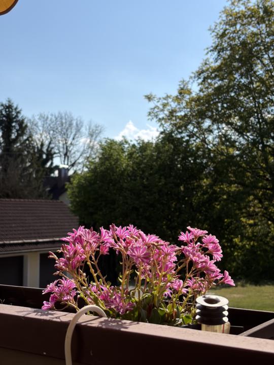 Wochenende?