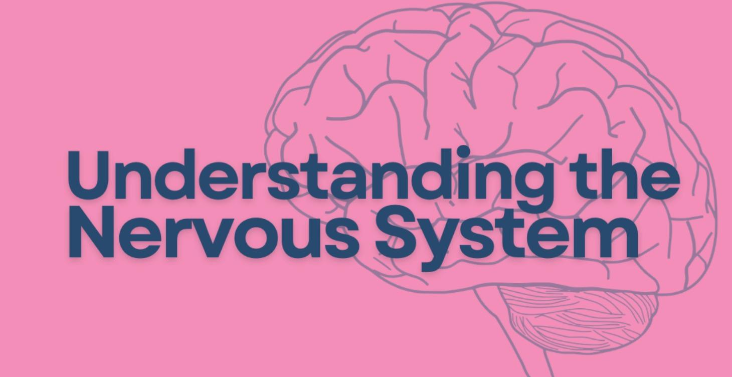 Understanding the Nervous System