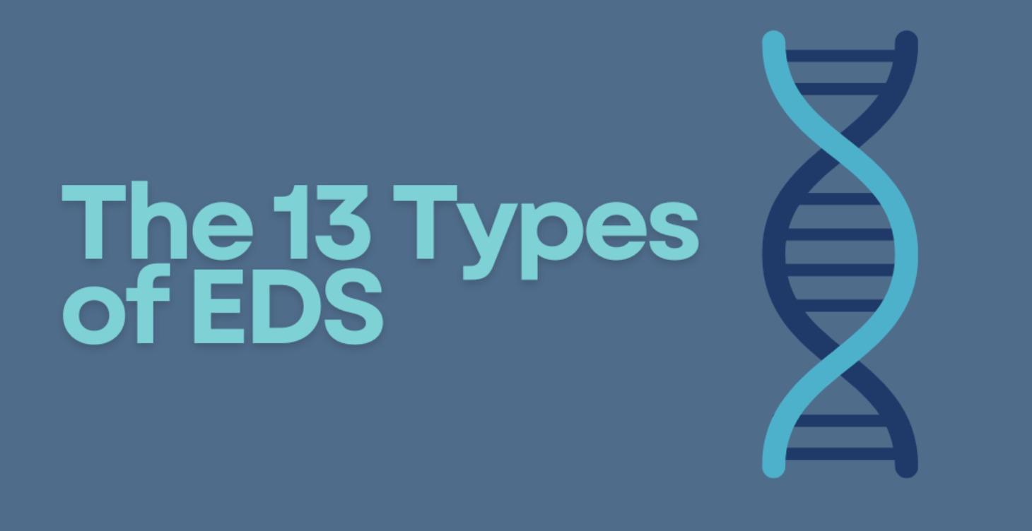 The 13 Types of EDS