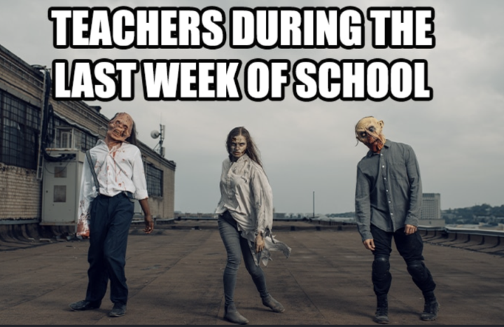 Last week of Term 2!
