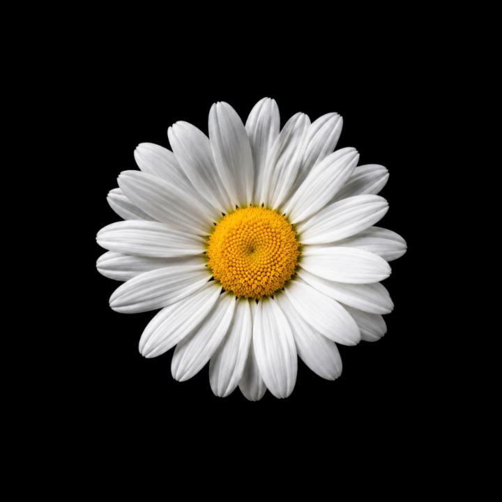 S V