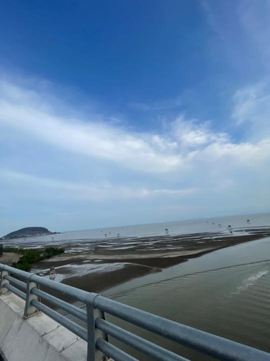 Nguyễn Tiến Thuật