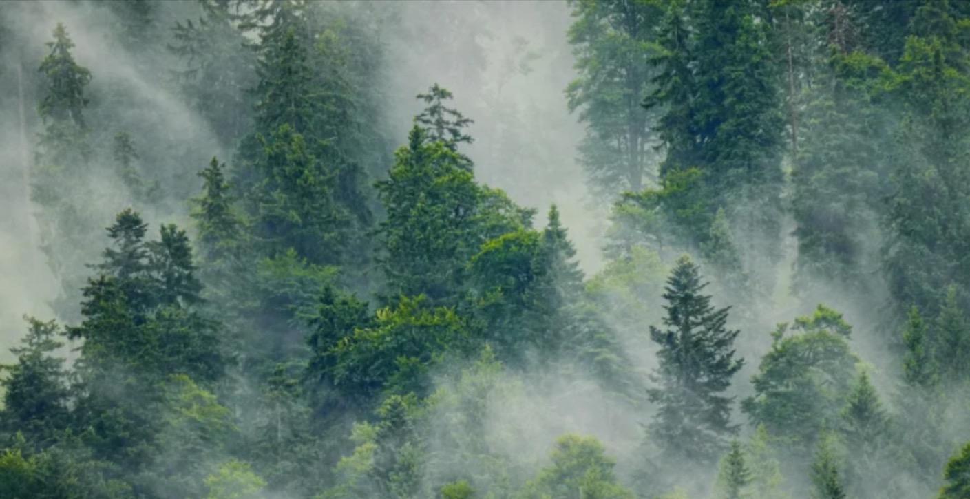 Divorce: Healing in Real Time 5/18/26