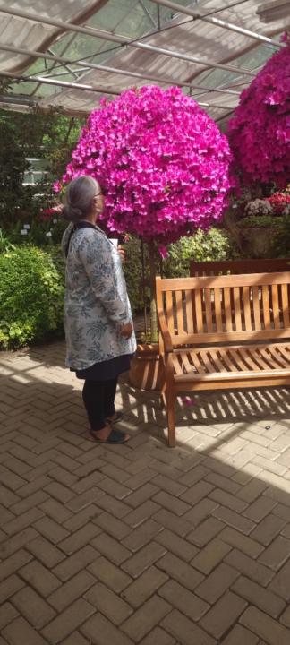 Shireena Young-Vossmeyer