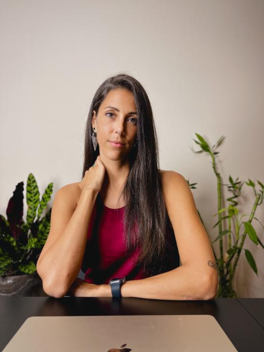 Vane V