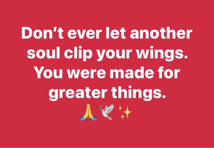 Fly High 🙏💛🕊️