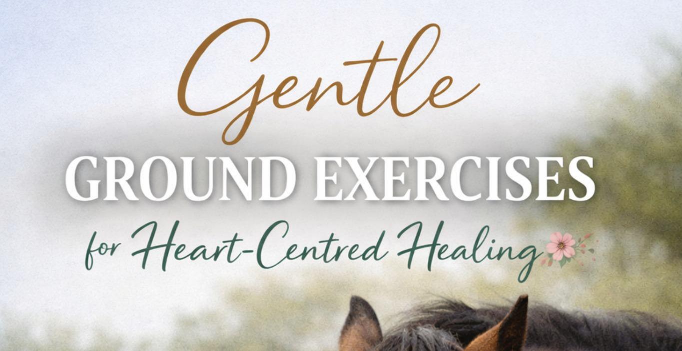 Ground Exercise Cue Cards