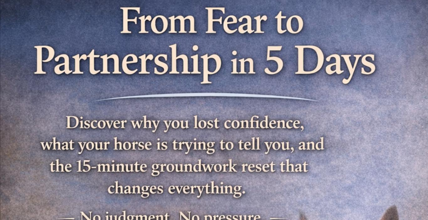 THE CONFIDENT PARTNERSHIP BLUEPRINT