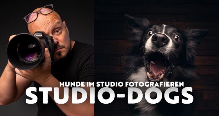 Hundefotografie im Studio