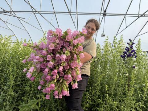 Abundant Blooms Collective gallery image
