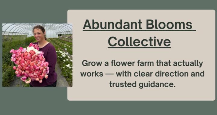 Abundant Blooms Collective