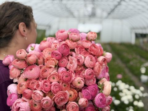 Abundant Blooms Collective gallery image