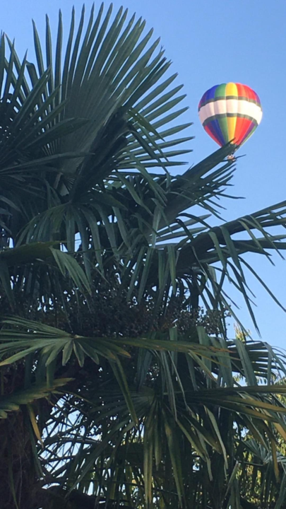 Les châteaux 🏰 de la Loire 