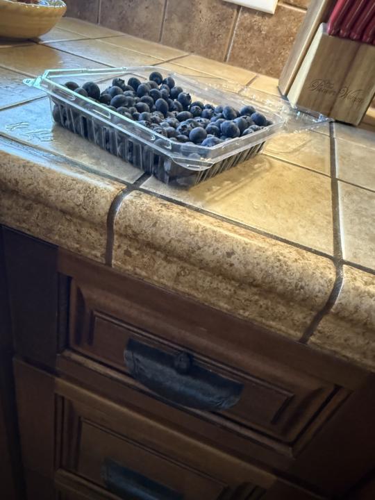 Blueberry 🫐 Miracles