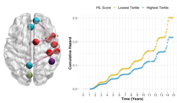 Life Purpose Lowers Risk for Cognitive Impairment
