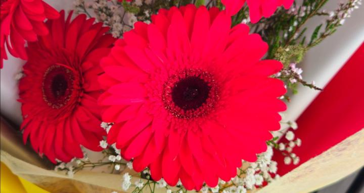 FLOWER POWER