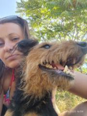 Христина Кафеджиева