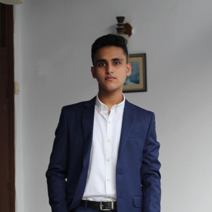 Talha Alvi