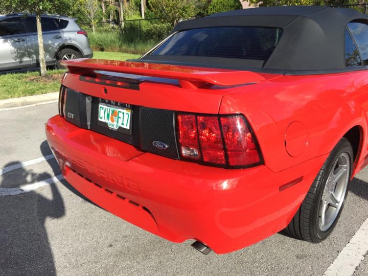 Silver Hunter Mustang