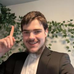 AbdulAziz Domantas Krasnovas