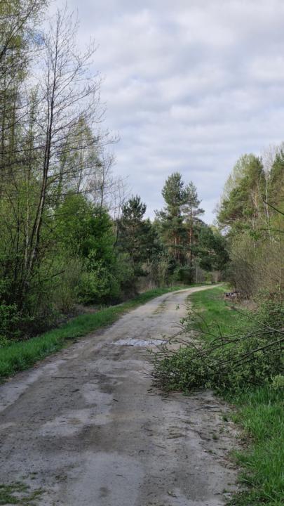 Dzień 31 (24.04)