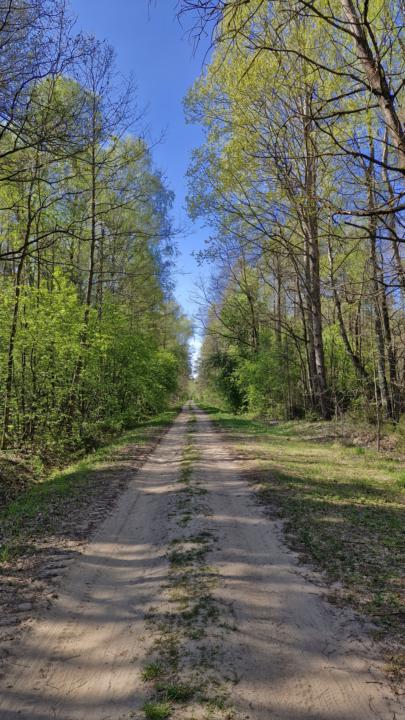 Dzień 38 (01.05)