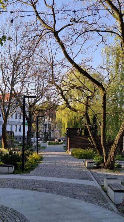 Dzień 36 (29.04)