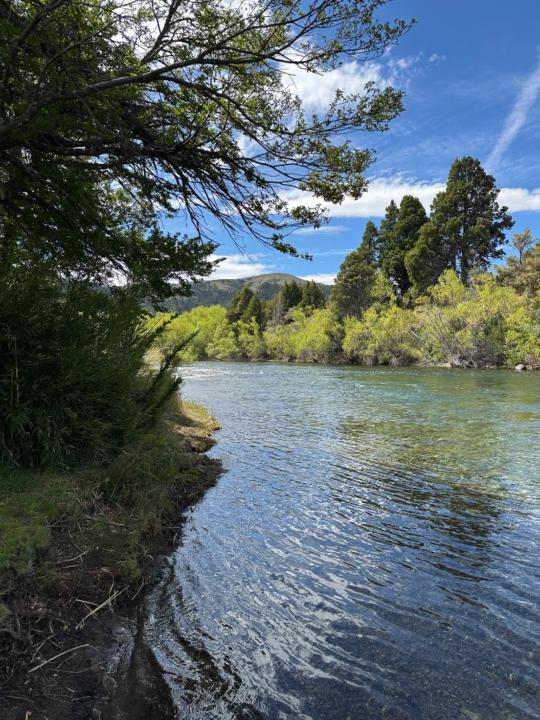 Vanina Capristo Ampuero