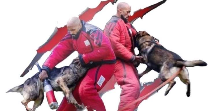 ScaryCatz Decoy Skool