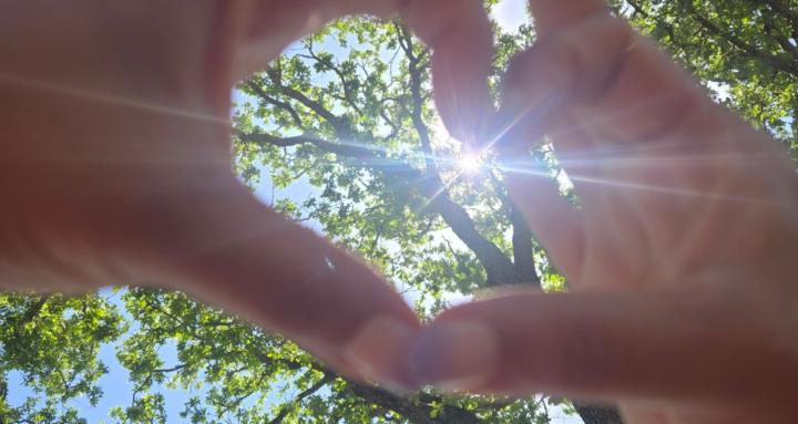 Deevine Spirituality