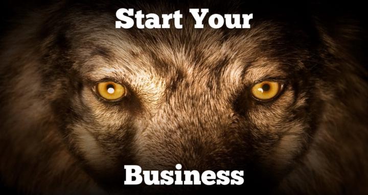 Wolf Money Mindset 🐺 